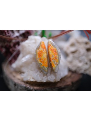 Aries 13.05CT 22.2x8.3mm Natural Bumble Bee Pair