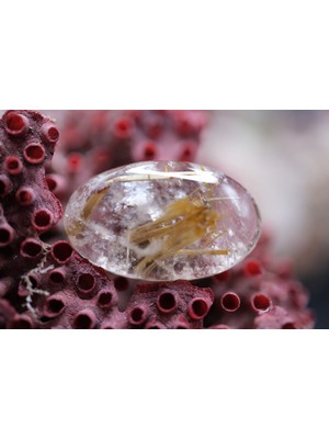 Aries 15.40CT 22.7X13.7MM Natural Golden Rutilated Quartz