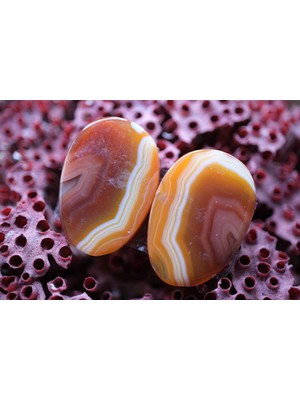 Aries 21.65CT 22.5X15.6MM Natural Banded Agate Pair
