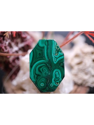 Aries 38.20CT 30.9X20.3MM Natural Malachite