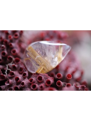 Aries 11.76CT 20.5X13.7MM Natural Golden Rutilated Quartz