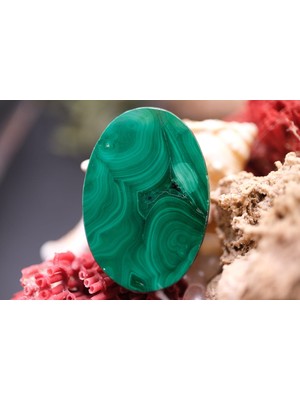 Aries 45.40CT 34.1X23.2MM Natural Malachite