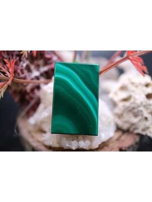 Aries 28.05CT 30.5X19.4MM Natural Malachite