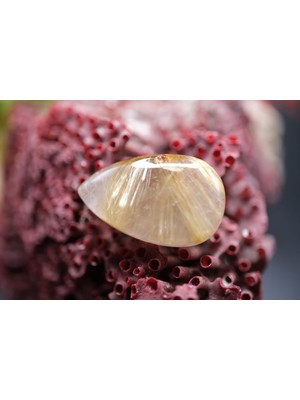 Aries 28.90CT 27.1X16.6MM Natural Golden Rutilated Quartz