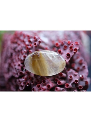 Aries 14.70CT 21.9X13.9MM Natural Golden Rutilated Quartz