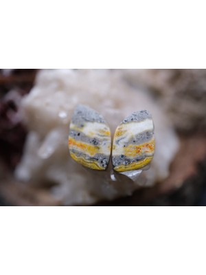 Aries 9.65CT 15X8.9MM Natural Bumble Bee Pair