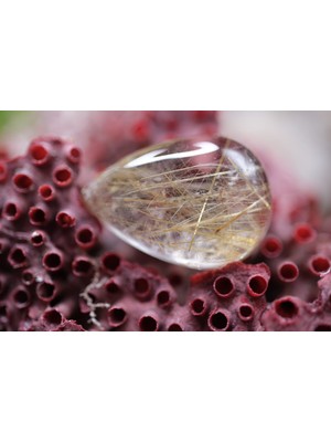 Aries 17.70CT 21.8X15.2MM Natural Golden Rutilated Quartz