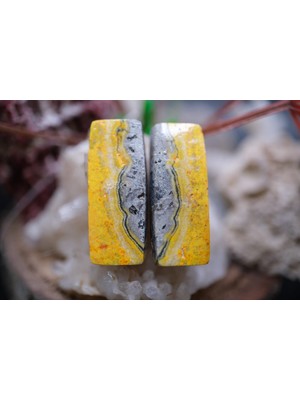 Aries 24.60CT 25.4X10.5MM Natural Bumble Bee Pair