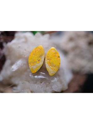 Aries 6.05CT 13.7X7MM Natural Bumble Bee Pair