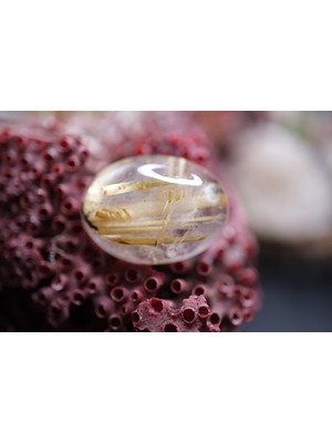 Aries 31.25CT 24.6X18MM Natural Golden Rutilated Quartz