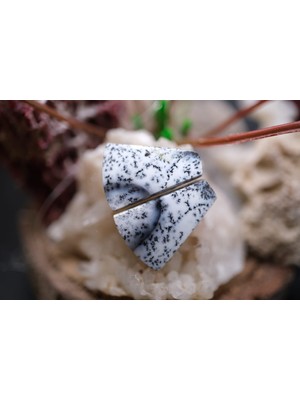 Aries 10.75CT 18.3X12.9MM Natural Dentric Agate Pair