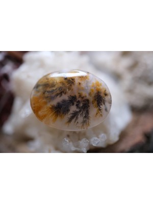 Aries 13.90CT 22.1X16.7MM Natural Dentric Agate