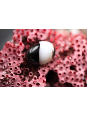 Aries 12.80CT 18.1X13.3MM Natural Banded Agate