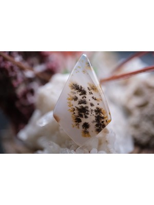 Aries 16.25CT 29.3X18.2MM Natural Dentric Agate