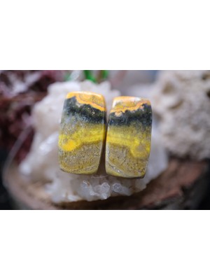 Aries 20.35CT 20.3X11.3MM Natural Bumble Bee Pair