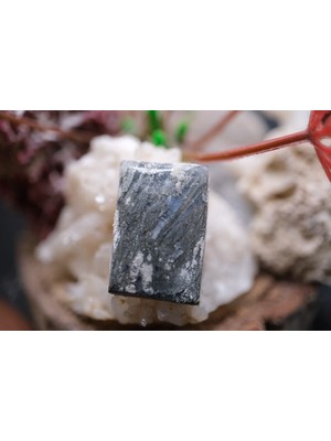 Aries 20.30CT 22.3X15MM Natural Hipomo Jasper Markazit