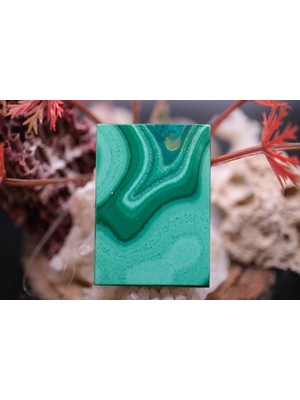 Aries 27.25CT 33.8X23.9MM Natural Malachite