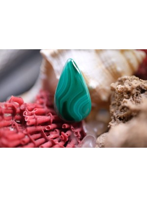 Aries 10.75CT 20.7X12MM Natural Malachite