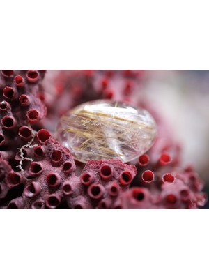 Aries 8.25CT 18.7X12.1MM Natural Golden Rutilated Quartz