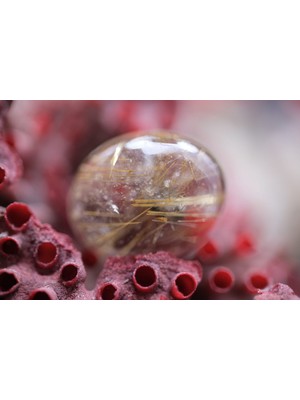 Aries 9.55CT 15.7X12.6MM Natural Golden Rutilated Quartz