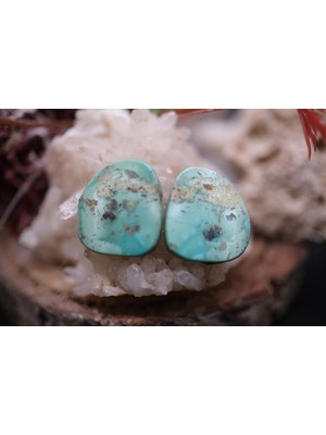 Aries 8.90CT 15.4X13.7MM Natural Turquase  Pair