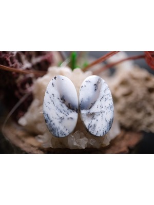 Aries 17.50CT 22.6X12.6MM Oval Natural Dentric Opal Pair