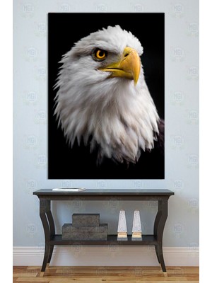 Mgi Design Heybetli Kartal Portresi Kanvas Tablo Duvar Dekoru Özgürlük Liderlik Hayvan Figürü