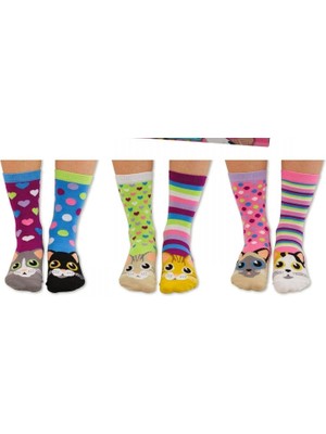 Heritage Nature Hnsocks Renkli Çorap Mafyası Hn Socks Catwalk Sevimli Kedi Desenli Unisex Renkli 5li Çorap Seti Hediye Kutulu