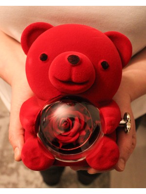 Trend Robo Sevimli Kadife Kırmızı Ayıcık Takı Kutusu - 925 Ayar Gümüş Sarılan Çift Sonsuzluk Kolye