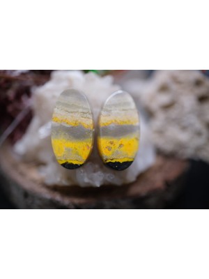 Aries 18.00CT 20.9X11.1MM Natural Bumble Bee Pair