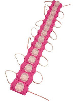 Powerr Led Aydınlatma 20 Adet 12 Volt 1.5 Watt Tek Lensli Pembe 3030 LED Modül IP65