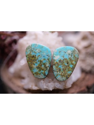 Aries 12.40CT 17.1X12.6MM Natural Turquase  Pair