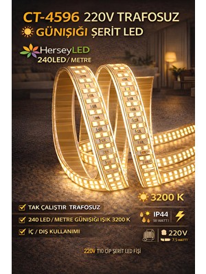 Dmc 220V Trafosuz Yapışkanlı Dış Mekan Şerit LED – Günışığı 3 M / 5 M