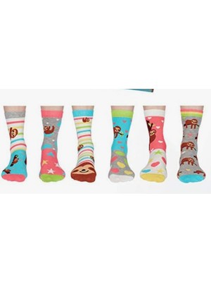 Heritage Nature Heritage Home Hn Socks Sevimli Tembel Hayvan Desenli Unisex Çorap Seti Hediye Kutulu 5'li