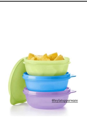◼️新品◼️Tupperware Rainbow Cooker 28cmウォック Tupperware Rainbow Cooker 両手鍋 19cm 【公式通販】