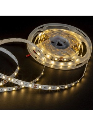 Noas 6500K 12V Beyaz Işık Dış Mekan Şerit LED YL40-4101 5m