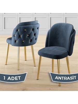 Canisa Axle Serisi 1 Adet Antrasit Mutfak Sandalyesi Gold Kaplama Metal Ayak Babyface Kumaş