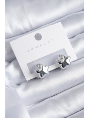 Clariss Gümüş Renk Yıldız Model Yıldız Model Pirinç Kadın Küpe