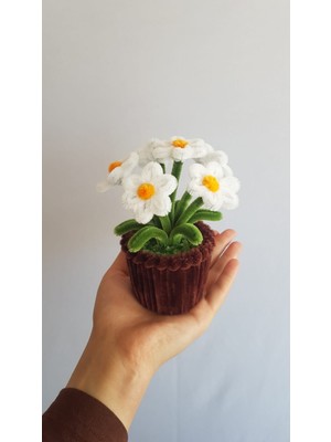 Badem Hediyecilik Dekoratif Küçük Saksı Çiçek – Ev ve Ofis Için Hediyelik