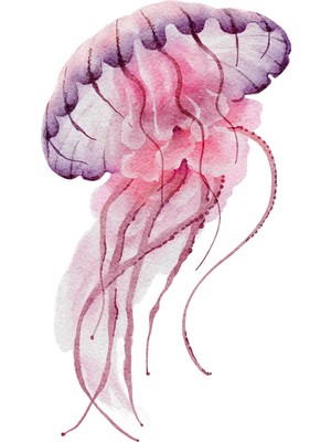 Fuart.Co Gül Medusa Dijital Baskı Poster (Çerçevesiz)Sea World Poster Serisi Sefu