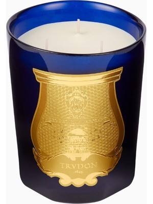 Trudon Reggio Intermède Lüks Narenciye Kokulu Mum