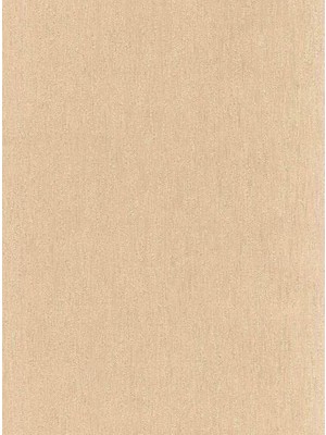 Zambaiti Parati Roma Italyan Ithal Duvar Kağıdı 8020 (5m2)