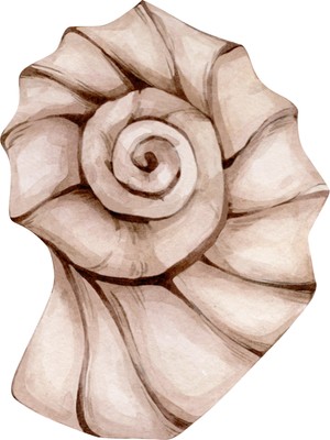 Fuart.Co Sarmalın Sırrı Dijital Baskı Poster (Çerçevesiz)Sea World Poster Serisi Sefu