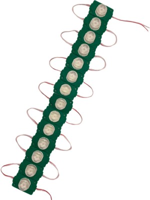 Powerr Led Aydınlatma 20 Adet 12 Volt 1.5 Watt Tek Lensli Yeşil 3030 LED Modül IP65