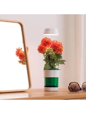 Homevia Hızlı Bitki Yetiştirme Saksısı