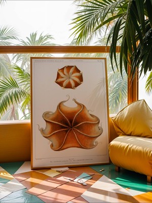 Fuart.Co Turuncu Ahtapot Antik Deniz Serisi Dijital Baskı Duvar Posteri (Çerçevesiz) Adfu