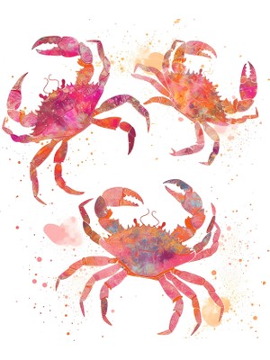 Fuart.Co Yengeçlerin Dansı Dijital Baskı Poster (Çerçevesiz)Sea World Poster Serisi Sefu