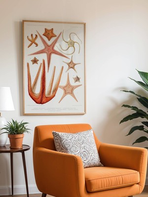 Fuart.Co Takım Yıldızı Antik Deniz Serisi Dijital Baskı Duvar Posteri (Çerçevesiz) Adfu