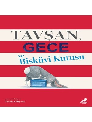 Aesco Tavşan Gece ve Bisküvi Kutusu