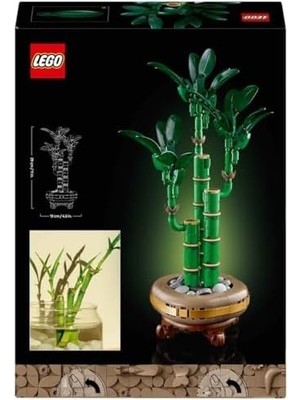 Storemax Şans Bambusu 10344 - Yetişkin Kadın ve Erkekler Için Bambu Sapları, Çakıl Taşları ve Ahşap Efektli Saksı Içeren Dekoratif Bitki Seti, Ev ve Ofis Dekorasyonu Hediye Fikri (325 Parça)